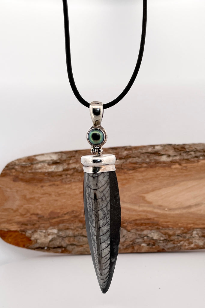 Ancient Trilobite fossil pendant. The ancient world on a necklace, a polished trilobite pendant about 100 million years old. Set in silver it has a pearl at the top, the bail is articulated. 
