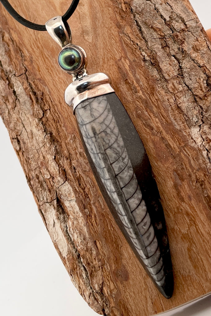 Ancient Trilobite fossil pendant. The ancient world on a necklace, a polished trilobite pendant about 100 million years old. Set in silver it has a pearl at the top, the bail is articulated. 