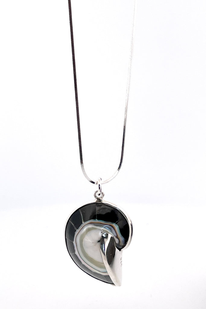 Necklace Nautilus shell. A divine swirl of iridescent silvery grey shell with 925 solid silver detailing,