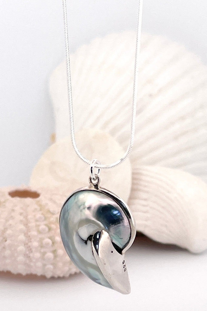 Necklace Nautilus shell. A divine swirl of iridescent silvery grey shell with 925 solid silver detailing,