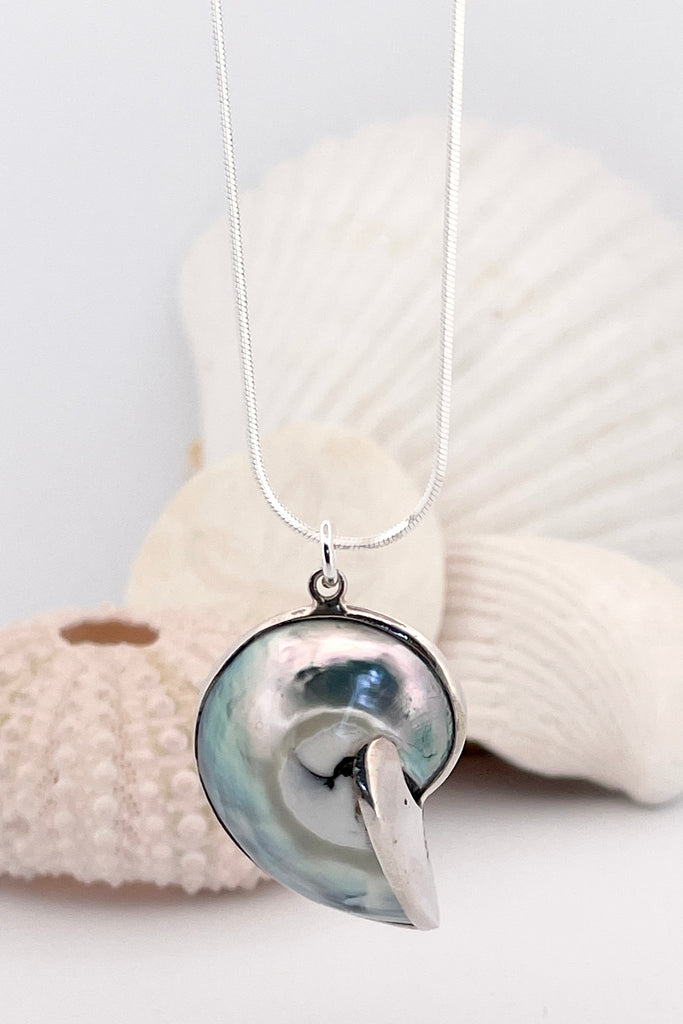 Necklace Nautilus shell. A divine swirl of iridescent silvery grey shell with 925 solid silver detailing,