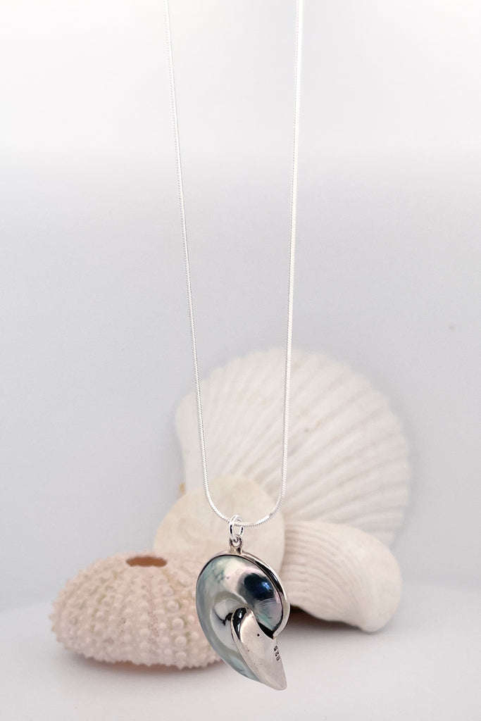 Necklace Nautilus shell. A divine swirl of iridescent silvery grey shell with 925 solid silver detailing,