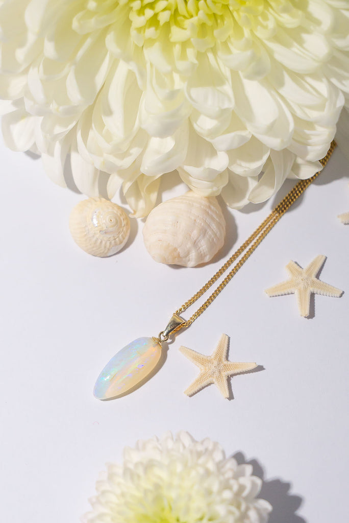 Beautiful Australian Crystal opal in a elongated teardrop shape with a gold bail and gold chain set amongst cream seashells and warm white dahlias with tiny starfish on a white background.