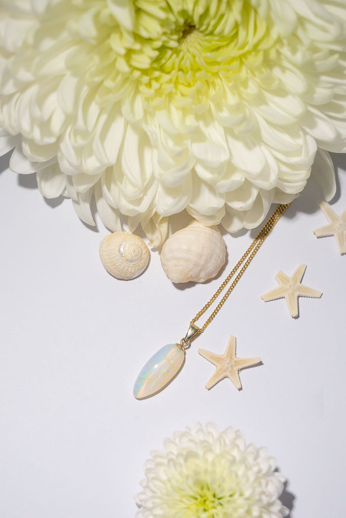 Beautiful Australian Crystal opal in a elongated teardrop shape with a gold bail and gold chain set amongst cream seashells and warm white dahlias with tiny starfish on a white background.