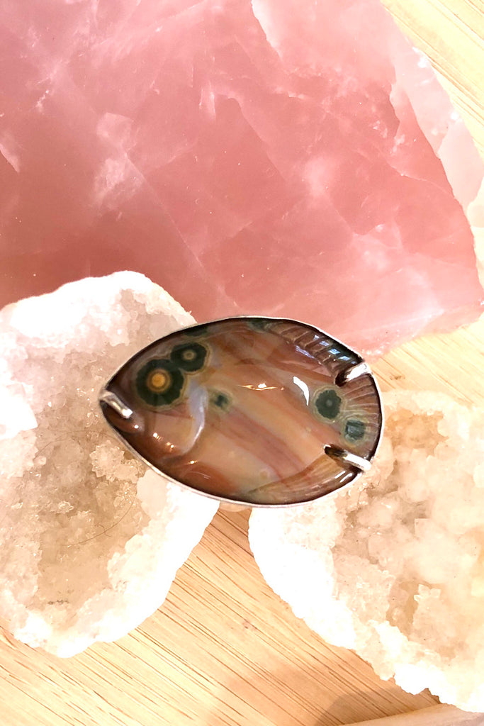 Echo Ring Sea in 925 Silver features agate which has been highly polished and hand carved to resemble a fossil fish. 