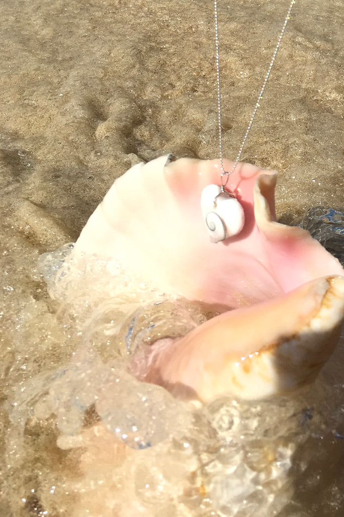 Pendant Heart of Shell, shiva shell pendant on silver chain, seashell necklace