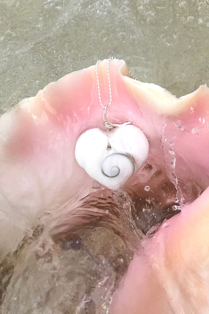 Pendant Heart of Shell, shiva shell pendant on silver chain, seashell necklace