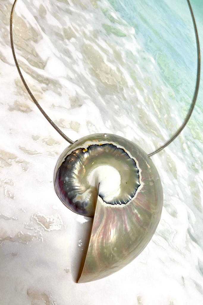 A beautiful iridescent Nautilus Pearl shell, hung on a silver omega chain. Each sea shell has been individually cut and polished to high iridescence.
