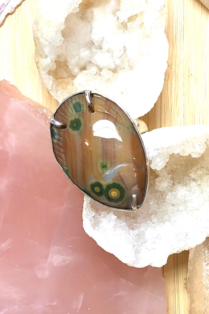Echo Ring Sea in 925 Silver features agate which has been highly polished and hand carved to resemble a fossil fish. 