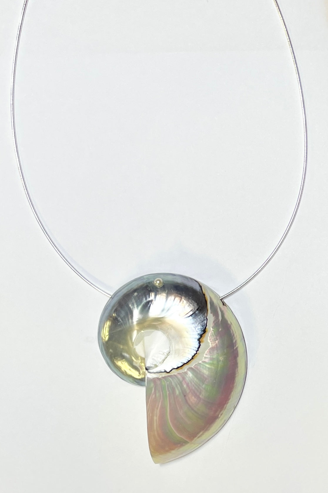 Nautilus Shell Pendant Mombasa Rose Boutique Sea Shell Necklace