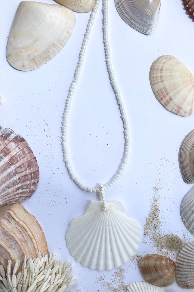 this gorgeous simple shell is almost pure white some have very pale pink markings, no two shells are ever alike,  strung on pearlescent white glass beads.